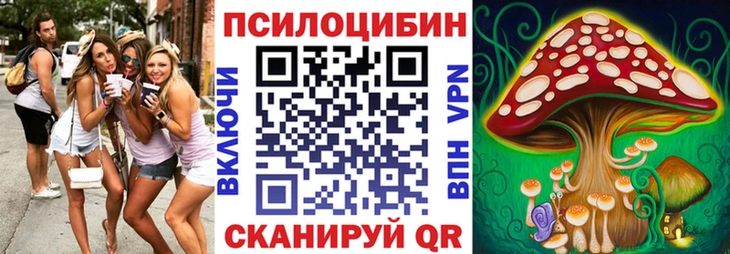 KRAKEN онион  Озёры  Псилоцибиновые грибы GOLDEN TEACHER  закладки 